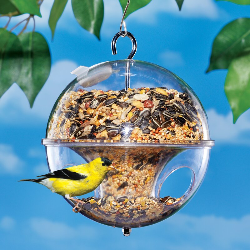 Tucker Murphy Pet Specially Designed Hanging Small Bird Globe Feeder   Specially Designed Hanging Small Bird Globe Feeder 